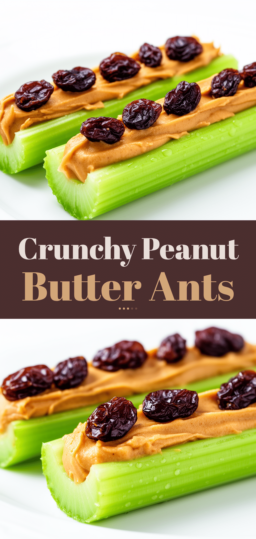 Ants on a Log with Peanut Butter Recipe 5 Easy After School Snacks Kids Crave 5 ants on a log with peanut butter recipe