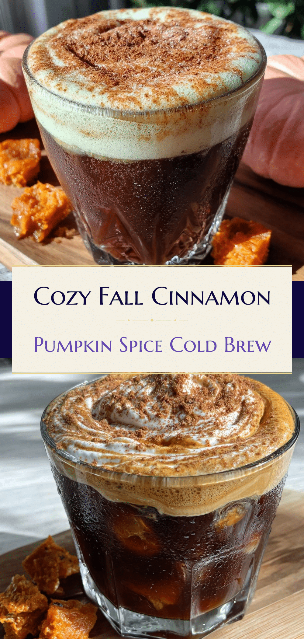 Fall Cinnamon Pumpkin Spice Cold Brew: 5pm Weeknight Win 5 Fall Cinnamon Pumpkin Spice Cold Brew recipe